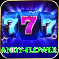 andy flower Plus v2.2.4