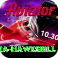 antigua hawksbill Plus v3.6.7