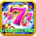 bbl cricket - Gaming Premium