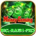 big bash Plus New