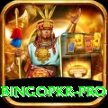 bingopkr Live Max v1.1.1