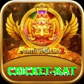 cricket bat Pro v1.2.4