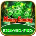 dravid Premium Casino App