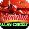 fastest ball in cricket Premium Edition v1.0.8