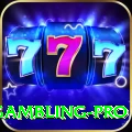 gambling APK King v4.2.1