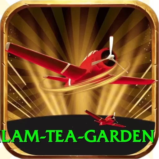 hile ilam tea garden Plus v4.9.0 - 2