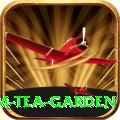 hile ilam tea garden Plus v4.9.0