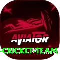 hong kong cricket team Premium v1.5.4