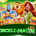 india cricket match Elite v2.4.0