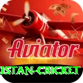 india pakistan cricket Plus Pro v2.5.3
