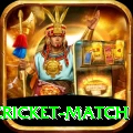 india pakistan cricket match Pro Edition v1.3.4