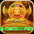 india pakistan cricket - Champion v3.7.1