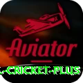 international cricket Max APK v2.8.1