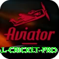 international cricket App Master v5.0.8