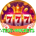 most test wickets Gold Edition v4.8.5