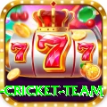 new zealand cricket team Ultimate Pro v3.5.9