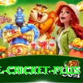 one cricket - Master v3.9.3