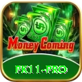 pk11 Casino Premium v4.6.3