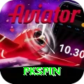 pkspin Pro1 v1.5.6
