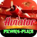 pkwin Plus v4.4.3