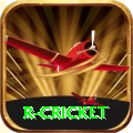 r cricket Premium Edition v4.9.6