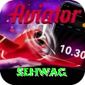 sehwag Apps (Tools & Injectors) Deluxe v2.5.8