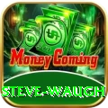 steve waugh Premium Edition v4.2.4