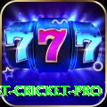 test cricket Plus - Daily Bonus