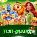 test match Elite v5.2.8