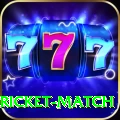 to day cricket match Deluxe Edition v4.0.4