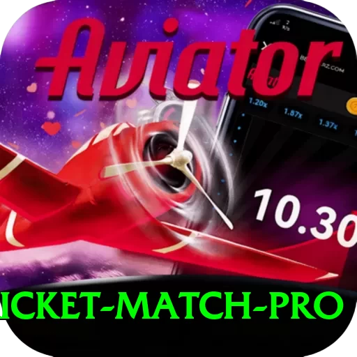 to day cricket match Cash Pro - 2