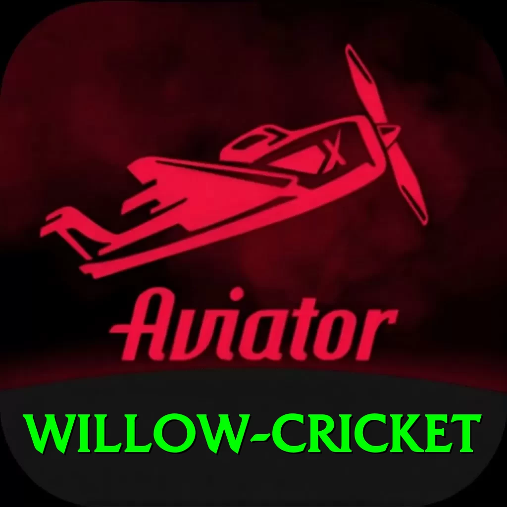 willow cricket VIP Edition v5.3.5 - 2