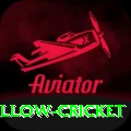 willow cricket VIP Edition v5.3.5
