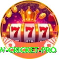 willow cricket Royal - Win Real PKR