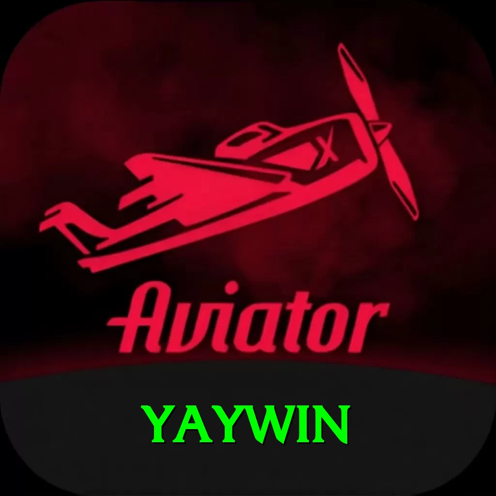 yaywin Pro Edition v2.2.9 - 2